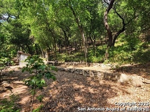 19614 Grey Forest Dr in Helotes, TX - Foto de edificio - Building Photo