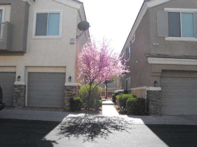 1559 Buffalo Brubaker Ln in Henderson, NV - Foto de edificio