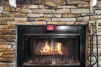 1216 Pinnacle Rdg Rd in Beech Mountain, NC - Building Photo - Building Photo