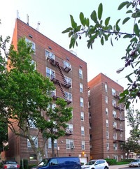 8504 63rd Dr in Flushing, NY - Foto de edificio - Building Photo