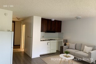 500 S Hobart Blvd, Unit 305 in Los Angeles, CA - Building Photo