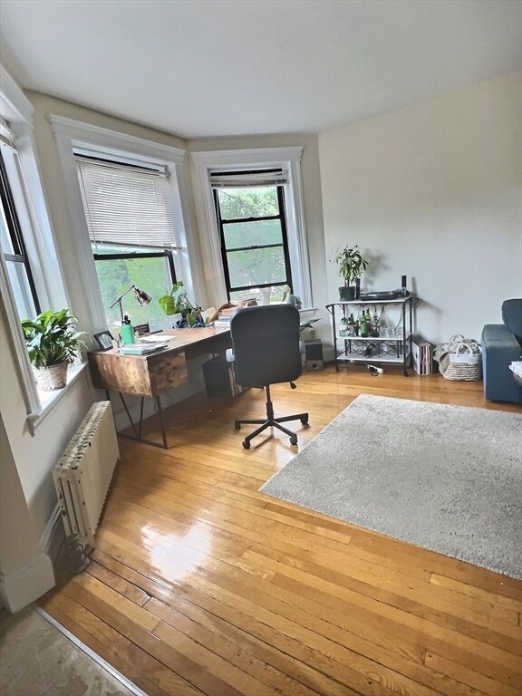 387 Harvard St, Unit 4 in Brookline, MA - Building Photo - Building Photo