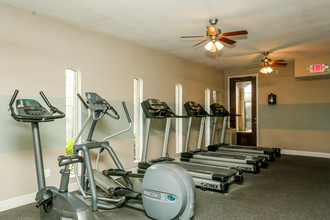 The Alora Apartments in Houston, TX - Building Photo - Interior Photo