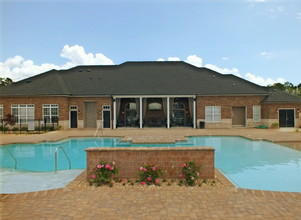 The Overlook at Stone Spring in Harrisonburg, VA - Building Photo - Building Photo