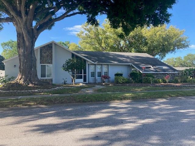 1050 Wexford Leas Blvd in Palm Harbor, FL - Building Photo