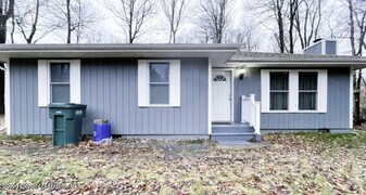 103 Orchard Ln in Tobyhanna, PA - Building Photo