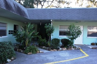 329 Albert St in Dunedin, FL - Foto de edificio - Building Photo