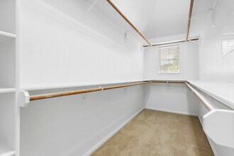 313 Greenside Ln in Georgetown, TX - Building Photo - Building Photo