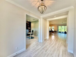 4155 Burdick Loop in Odessa, FL - Building Photo - Building Photo