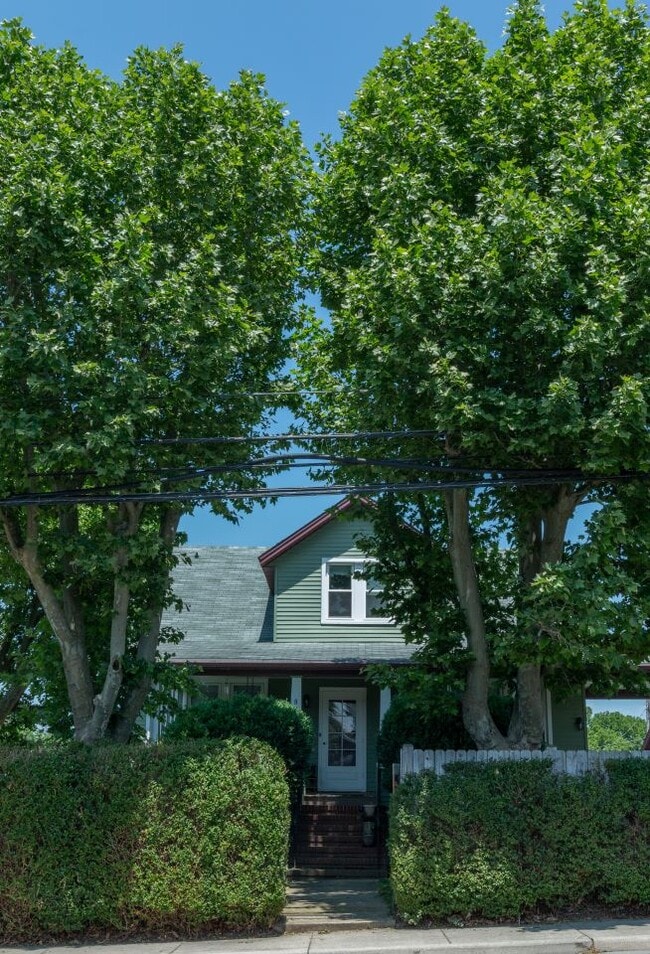 801 N Main St in Harrisonburg, VA - Building Photo - Building Photo