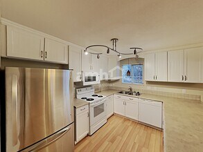 4261 Choke Cherry Ave in Broomfield, CO - Foto de edificio - Building Photo