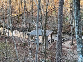 1981 Buffalo Creek Rd in Lake Lure, NC - Building Photo - Building Photo