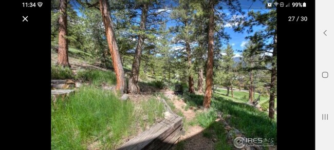 517 Driftwood Ave in Estes Park, CO - Building Photo - Building Photo