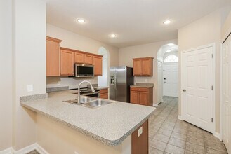 20221 Still Wind Dr in Tampa, FL - Building Photo - Building Photo