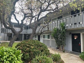 2977 S Norfolk St in San Mateo, CA - Building Photo - Building Photo