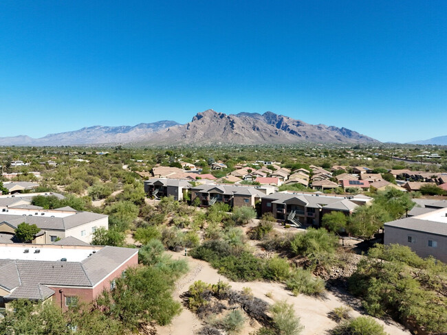 Tierra Vida in Tucson, AZ - Building Photo - Building Photo