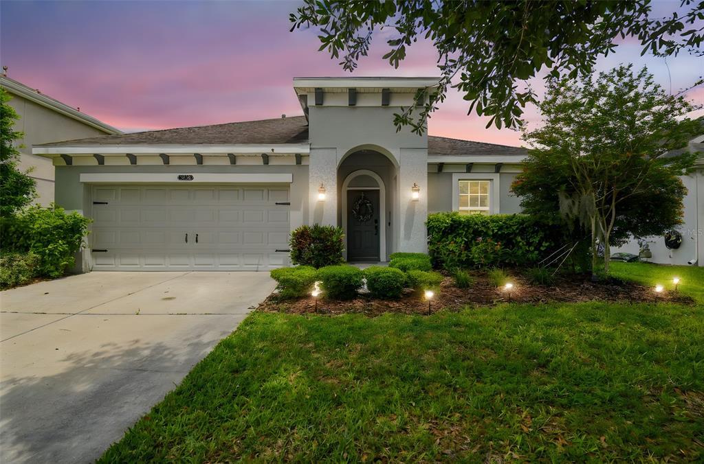 8228 Sunlit Horizon Ln in Land O Lakes, FL - Building Photo