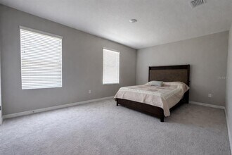 33546 Darley Dl Trl in Wesley Chapel, FL - Building Photo - Building Photo