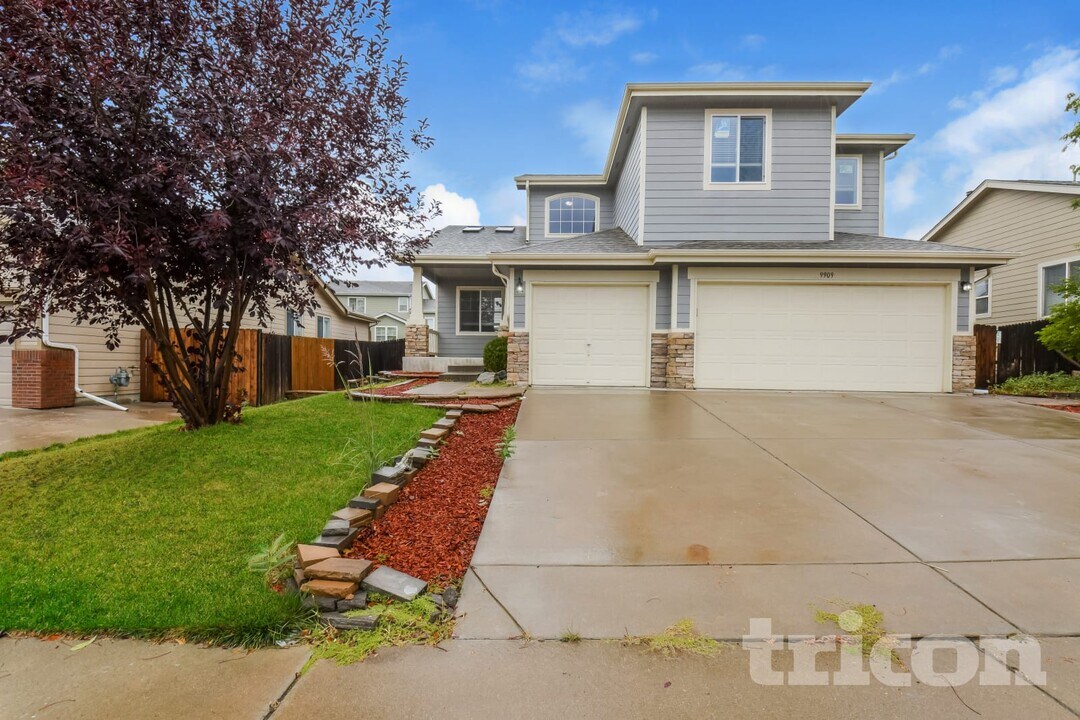 9909 Vine St in Thornton, CO - Building Photo