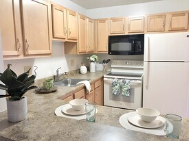 Williamsburg Village in Albany, NY - Building Photo