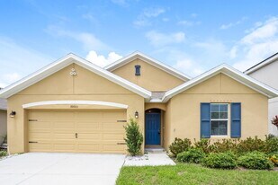 10005 Geese Trail Cir in Sun City Center, FL - Building Photo