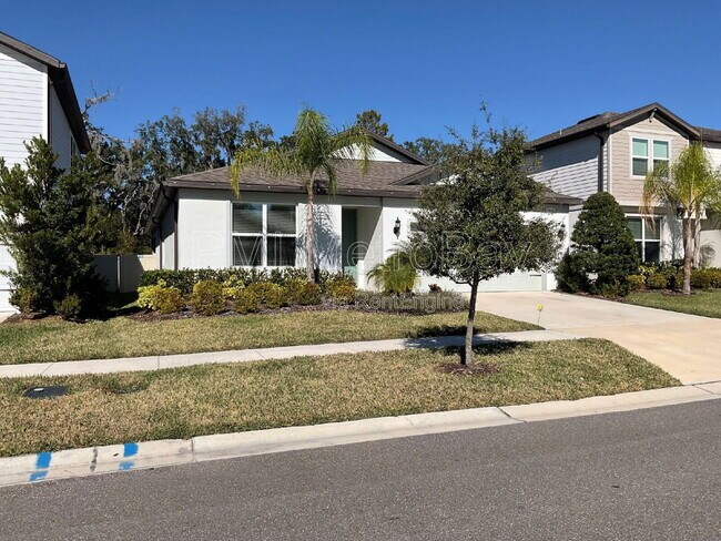 2870 Dolores Home Ave in Valrico, FL - Building Photo - Building Photo