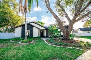 12335 Yellow Rose Cir in Riverview, FL - Building Photo