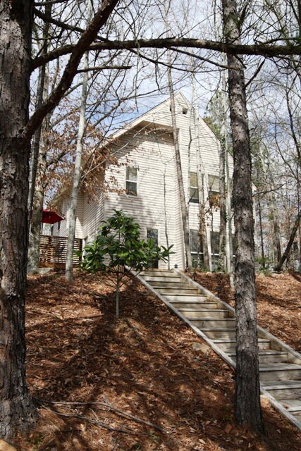 379 Butternut Dr in Auburn, AL - Building Photo