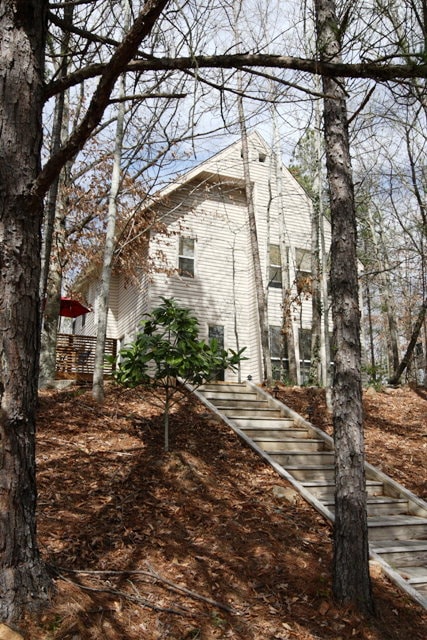 379 Butternut Dr in Auburn, AL - Building Photo - Building Photo