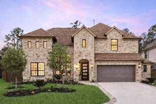 141 Bronze Bow Dr in Montgomery, TX - Building Photo