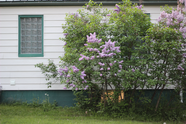 206 S Madison St in Thompson Falls, MT - Building Photo - Building Photo