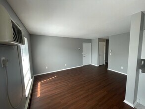405 E Reed St-Unit -4 in Braidwood, IL - Building Photo - Building Photo