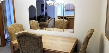 323 Marina Dr in Dillon, CO - Building Photo - Building Photo