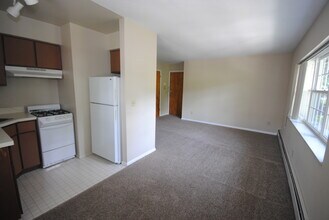 Ashley Manor in Ann Arbor, MI - Foto de edificio - Building Photo