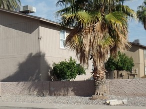 305 E Vine Cir in Mesa, AZ - Building Photo - Building Photo