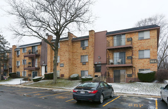 820-824 W College Blvd in Addison, IL - Foto de edificio - Building Photo