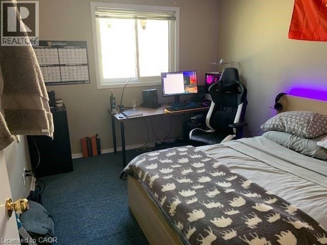 65 Cardill Crescent in Waterloo, ON - Building Photo - Building Photo