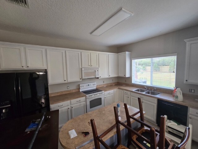 9221 Stone River Pl in Riverview, FL - Building Photo - Building Photo