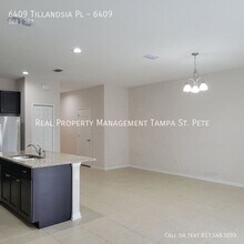 6409 Tillandsia Pl in Tampa, FL - Building Photo - Building Photo