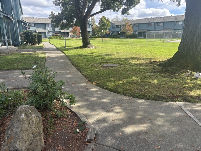 221 College View Dr in Rohnert Park, CA - Foto de edificio - Building Photo