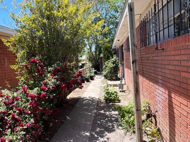 1021 Louisiana Blvd SE in Albuquerque, NM - Building Photo - Building Photo