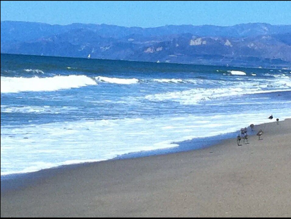 4164 Ocean Dr in Oxnard, CA - Building Photo