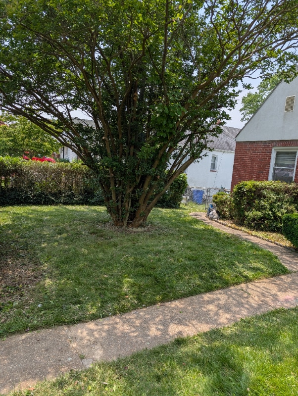 516 Dale Ave in Baltimore, MD - Building Photo - Building Photo