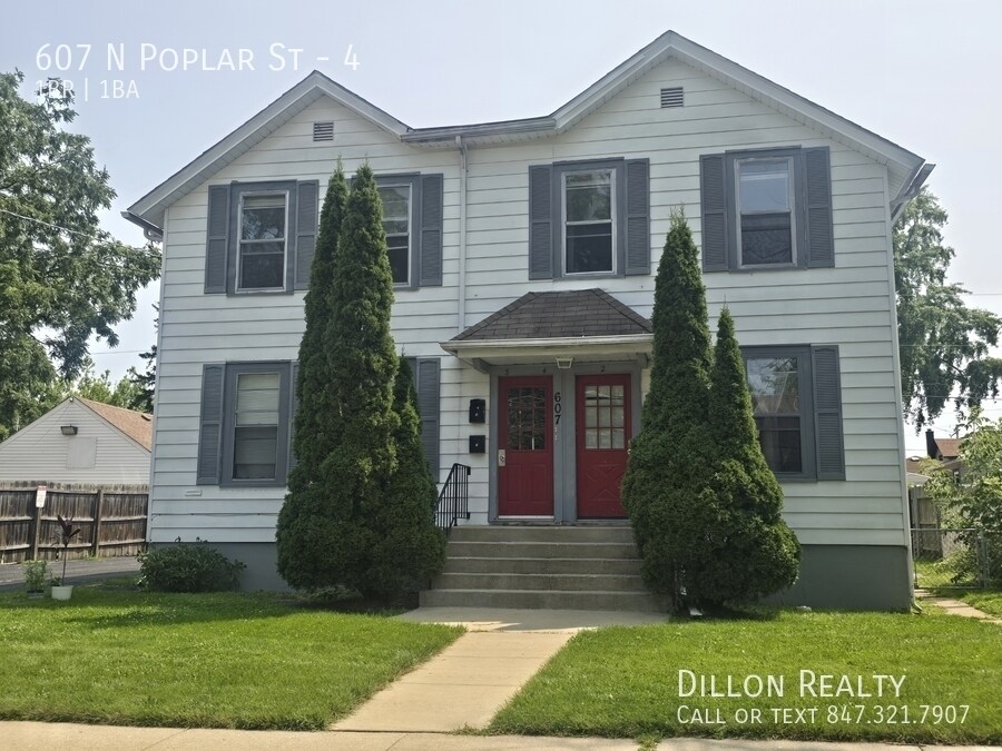 607 N Poplar St in Waukegan, IL - Building Photo