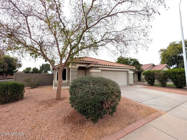 2471 E Derringer Way in Chandler, AZ - Building Photo - Building Photo