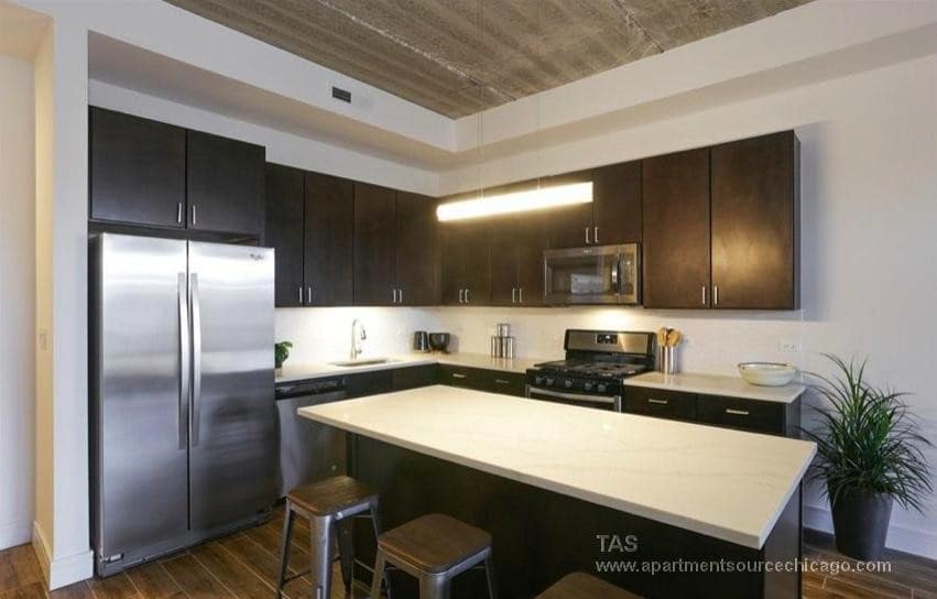 2914 N Halsted St in Chicago, IL - Building Photo