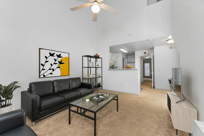 Museum Walk in Gainesville, FL - Building Photo - Building Photo