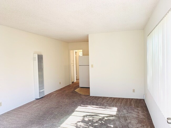 804 Jamaica Ct in San Diego, CA - Building Photo - Building Photo