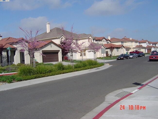 37297 Aleppo Dr in Newark, CA - Building Photo - Building Photo