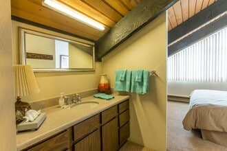 11 Emmons Rd in Crested Butte, CO - Building Photo - Building Photo